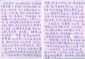 〈理想型避風塘簡述〉-風暴騎兵鼴鼠-(中學生)